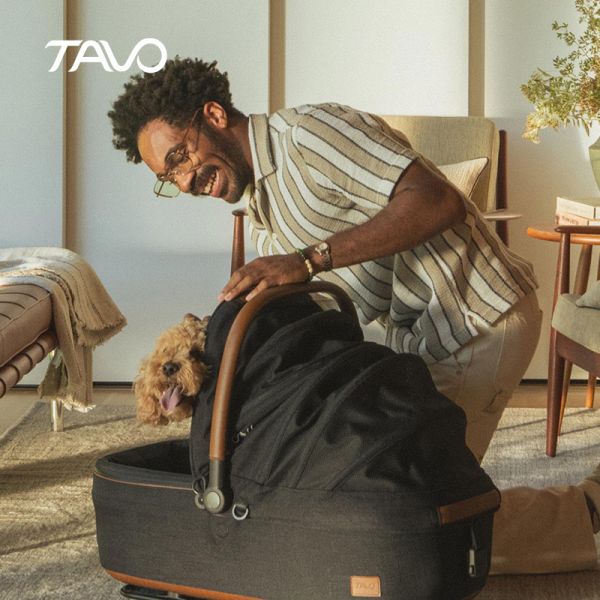TAVO メイブL+ ベース（メルル）