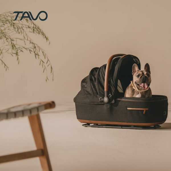TAVO メイブL+ ベース（メルル）